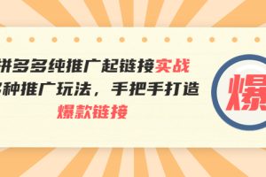 （3649期）拼多多纯推广起链接实战：多种推广玩法，手把手打造爆款链接