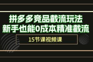 （10301期）拼多多竞品截流玩法，新手也能0成本精准截流（15节课）