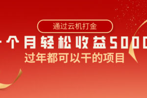 （8845期）过年都可以干的项目，快手掘金，一个月收益5000+，简单暴利