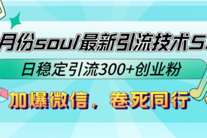 （12772期）9月份soul最新引流技术5.0，日稳定引流300+创业粉，加爆微信，卷死同行