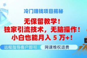 （11864期）冷门赚钱项目无保留教学！独家引流技术，无脑操作！小白也能月入5万+！