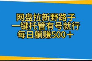 （10468期）网盘拉新野路子，一键托管有号就行，全自动代发视频，每日躺赚500＋