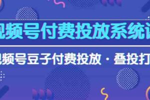 （10111期）视频号付费投放系统课，视频号豆子付费投放·叠投打法（高清视频课）