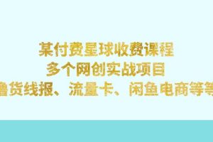 （7199期）某付费星球课程：多个网创实战项目，撸货线报、流量卡、闲鱼电商等等