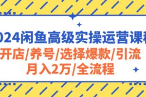 （10711期）2024闲鱼高级实操运营课程：开店/养号/选择爆款/引流/月入2万/全流程