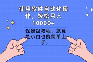 （9110期）使用软件自动化操作，轻松月入10000+，保姆级教程，就算是小白也能简单上手