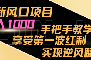 最新风口项目，日入1000，手把手教学，享受第一波红利，实现逆风翻盘