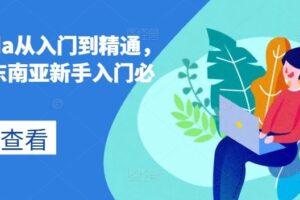 lazada从入门到精通，跨境东南亚新手入门必修课