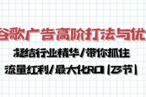 （10287期）谷歌广告高阶打法与优化，凝结行业精华/带你抓住流量红利/最大化ROI(23节)