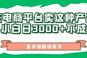 （11206期）最新在电商平台发布这种产品，新手小白日入3000+不成问题，最详细赚钱教学