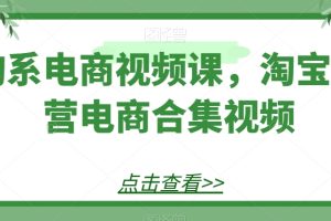 淘系电商视频课，淘宝运营电商合集视频