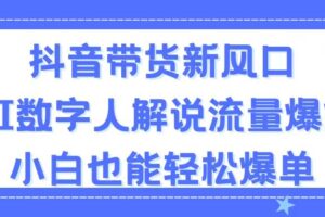 （11401期）抖音带货新风口，AI数字人解说，流量爆炸，小白也能轻松爆单