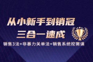 从小新手到销冠三合一速成：销售3法+非暴力关单法+销售系统挖需课 (27节)