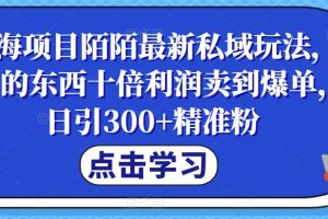 蓝海项目陌陌最新私域玩法，20 的东西十倍利润卖到爆单，日引300+精准粉【揭秘】