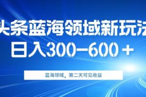 AI头条野路子蓝海领域新玩法2.0，日入300-600＋，附保姆级教程【揭秘】