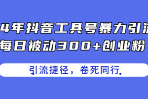 （11354期）24年抖音工具号暴力引流，每日被动300+创业粉，创业粉捷径，卷死同行