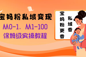 （8154期）宝妈粉私域变现从0-1，从1-100，保姆级实操教程，长久稳定的变现之法