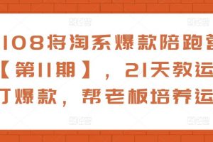 108将淘系爆款陪跑营【第11期】，21天教运营打爆款，帮老板培养运营