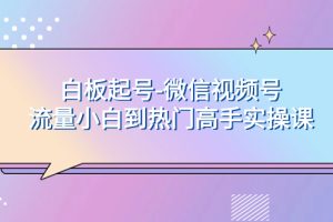 （7955期）白板起号-微信视频号流量小白到热门高手实操课