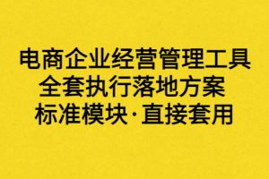 （3439期）外面卖198·电商企业经营管理工具：全套执行落地方案 标准模块·直接套用