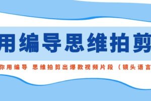 （8785期）用编导的思维拍剪，教你用编导 思维拍剪出爆款视频片段（镜头语言）