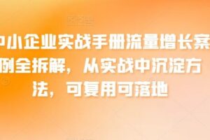 中小企业实战手册流量增长案例全拆解，从实战中沉淀方法，可复用可落地