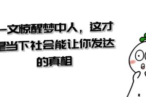 （8480期）某公众号付费文章《一文 惊醒梦中人，这才是当下社会能让你发达的真相》