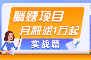 （11322期）躺赚副业项目，月利润1万起，当天见收益，实战篇