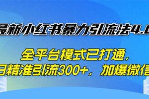 （12505期）最新小红书暴力引流法4.0， 全平台模式已打通，日精准引流300+，加爆微…