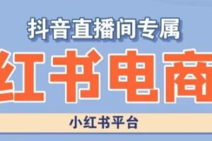 小红书电商高级运营课程，实操教学+案例分析