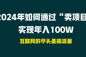 （9147期） 2024年如何通过“卖项目”实现年入100W