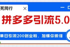 （12533期）拼多多引流付费创业粉，单日引流200+，日入4000+