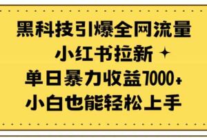 （9679期）黑科技引爆全网流量小红书拉新，单日暴力收益7000+，小白也能轻松上手