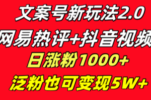 （8484期）文案号新玩法 网易热评+抖音文案 一天涨粉1000+ 多种变现模式 泛粉也可变现