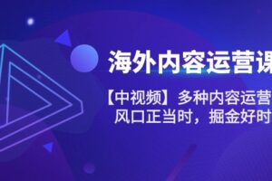 海外内容运营课【中视频】多种内容运营玩法 风口正当时 掘金好时机（101节）