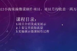 2022小淘实操微课制作项目，项目月均收益一两万