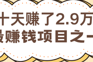 闲鱼小红书最赚钱项目之一，纯手机操作简单，小白必学轻松月入6万+