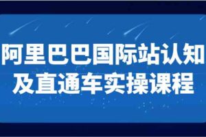 阿里巴巴国际站认知及直通车实操课-国际地产逻辑、国际站运营定位、TOP商家运营思路