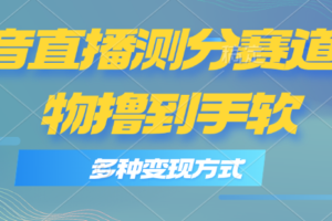 （11380期）抖音直播测分赛道，多种变现方式，轻松日入1000+