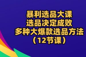 （10521期）暴利 选品大课：选品决定成败，教你多种大爆款选品方法（12节课）