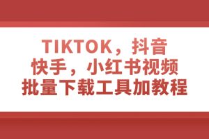 （7714期）TIKTOK，抖音，快手，小红书视频批量下载工具加教程