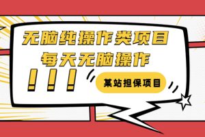 （3294期）某站担保项目：无脑纯操作类项目，每天无脑操作，需要周转资金【揭秘】