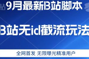 9月B站最新无id截流精准用户内免费附软件以及教程【揭秘】