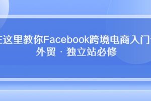 （10259期）在这里教你Facebook跨境电商入门课，外贸·独立站必修