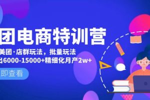 （4921期）美团电商特训营：美团·店群玩法，无脑铺货月产出6000-15000+精细化月产2w+