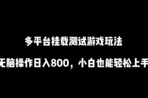 多平台挂载测试游戏玩法，无脑操作日入800，小白也能轻松上手【揭秘】