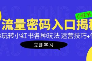 （5179期）小红书流量密码入口揭秘：带你玩转小红书各种玩法 运营技巧+优化！