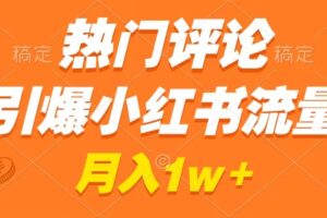 （8740期）热门评论引爆小红书流量，作品制作简单，广告接到手软，月入过万不是梦