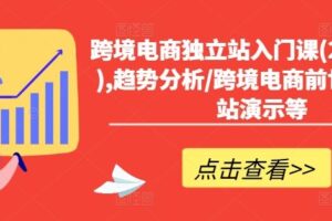 跨境电商独立站入门课(2小时精华),趋势分析/跨境电商前世今生/建站演示等