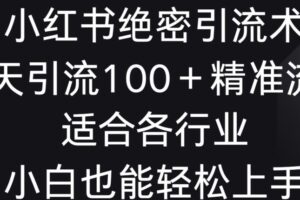 小红书绝密引流术，一天引流100+精准流量，适合各个行业，小白也能轻松上手【揭秘】